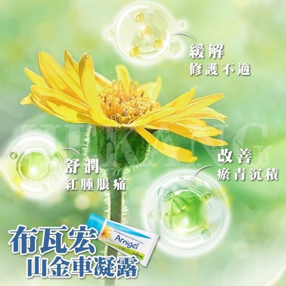 2024/9/30法國原裝BOIRON 布瓦宏 山金車酸痛瘀青凝露 45g/條【R3】-細節圖3