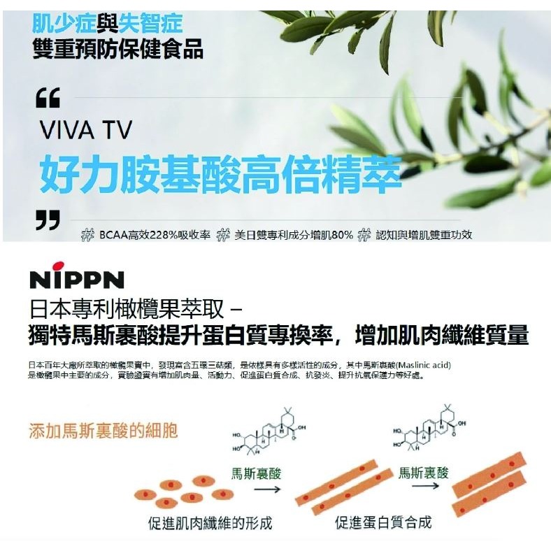 公司貨 樂康森醫 好力- 胺基酸高倍精萃6包/盒【G2】-細節圖4