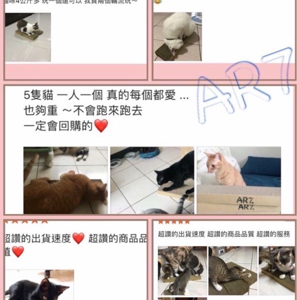 AR7(現貨)大規格  貓抓板  貓用品  貓咪玩具 兩面可用 貓屋 貓屋補充-細節圖4