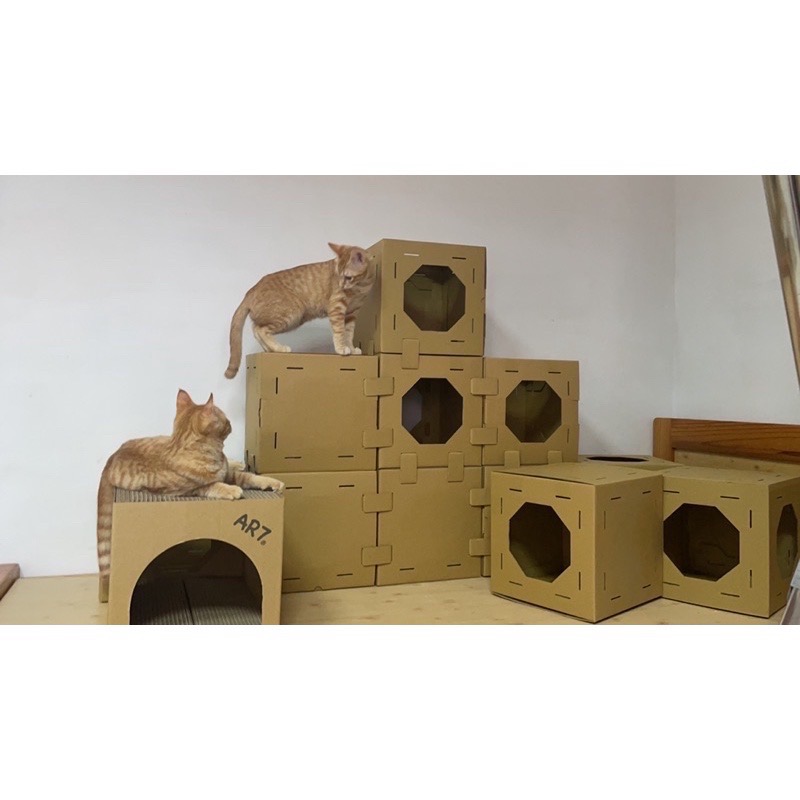 AR7 (現貨)滿福骰  貓隧道 貓咪玩具 貓屋 貓窩 兔隧道 兔玩-細節圖6