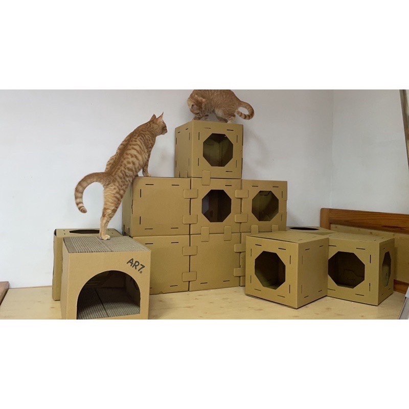 AR7 (現貨)滿福骰  貓隧道 貓咪玩具 貓屋 貓窩 兔隧道 兔玩-細節圖7