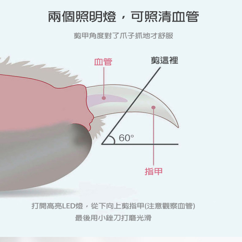 【福爾摩沙寵物精品】JD-18 寵物電動磨甲器 寵物指甲剪 磨甲器-細節圖6