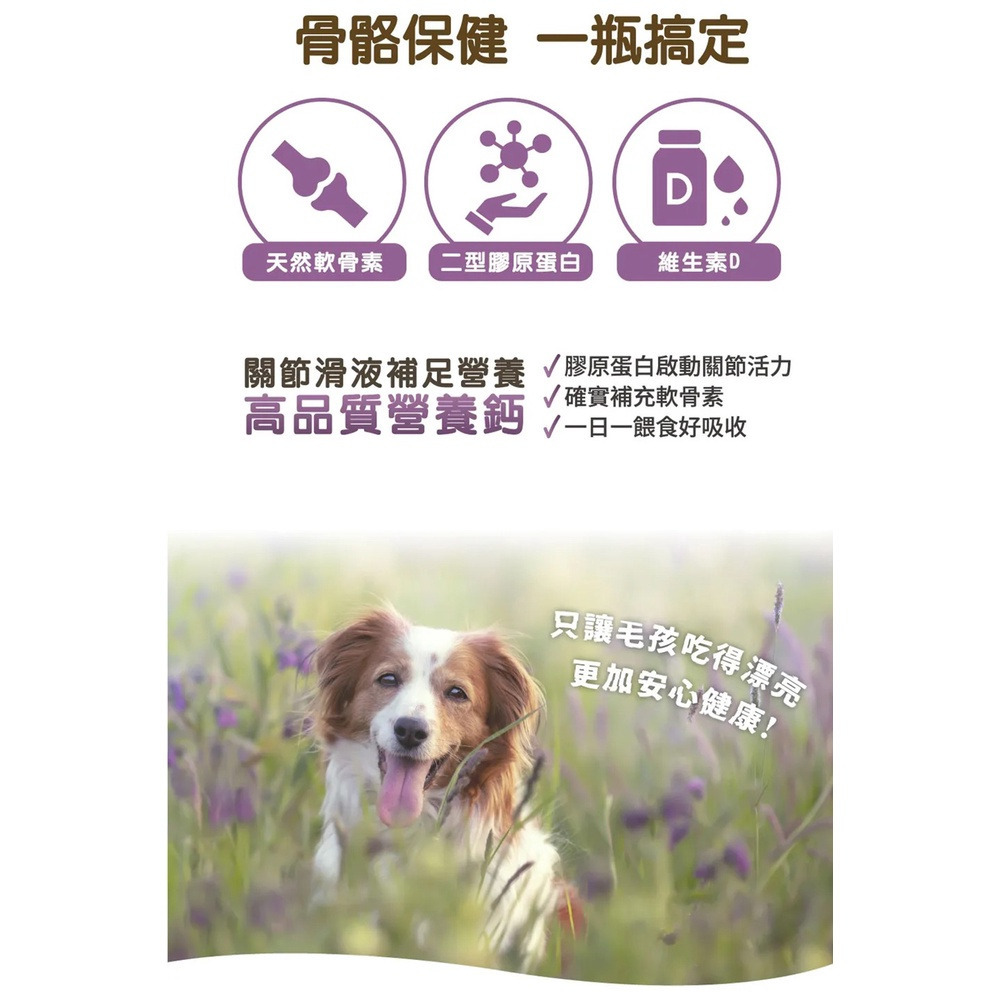 【福爾摩沙寵物精品】A Star 犬專用關節骨骼粉｜60g-細節圖7