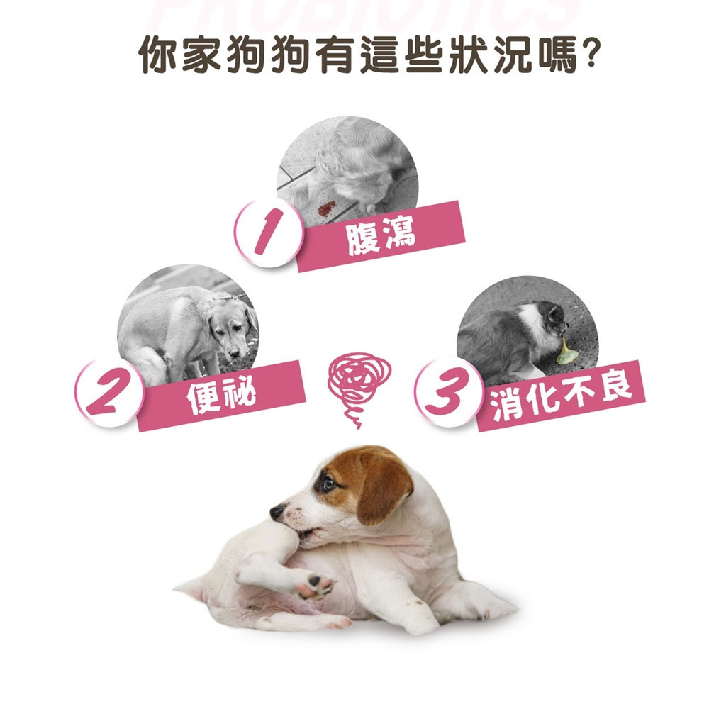 【福爾摩沙寵物精品】A Star 犬專用腸胃益生菌｜60g-細節圖5