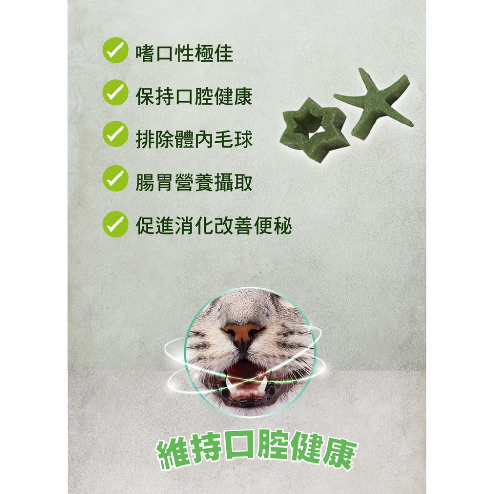 【福爾摩沙寵物精品】A Star 貓星形薄荷潔牙骨-細節圖5