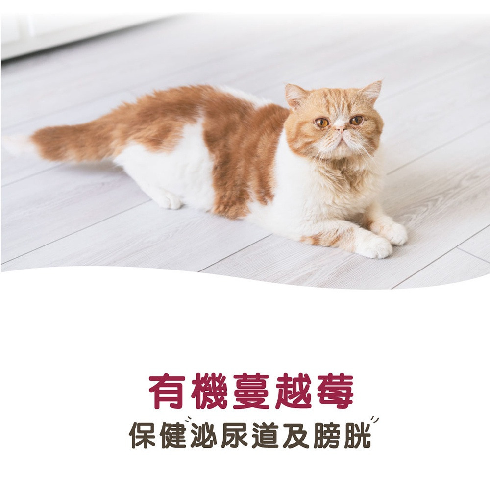 【福爾摩沙寵物精品】A Star 貓專用泌尿保健粉｜60g-細節圖4
