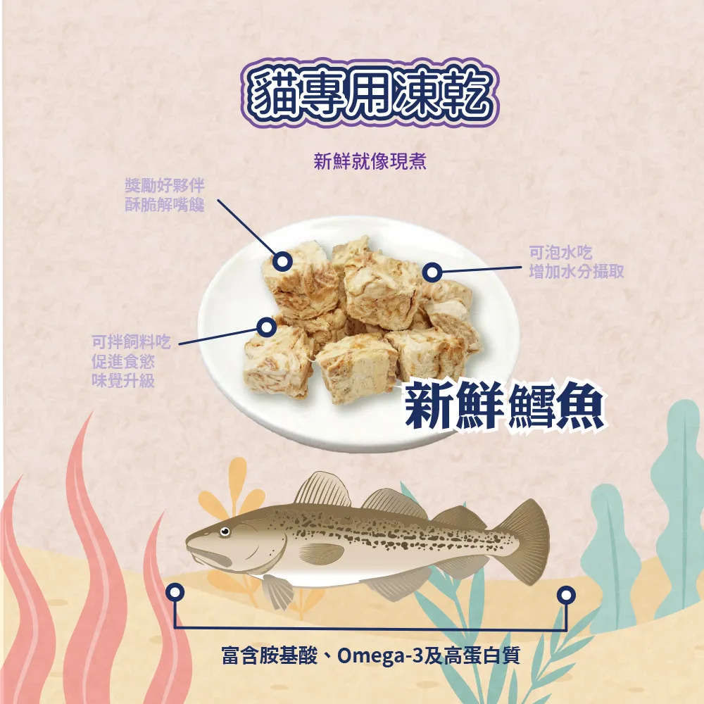 【福爾摩沙寵物精品】Armonto 貓專用無鹽無漂白凍乾-細節圖3