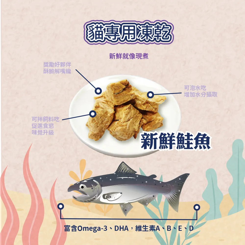 【福爾摩沙寵物精品】Armonto 貓專用無鹽無漂白凍乾-細節圖4