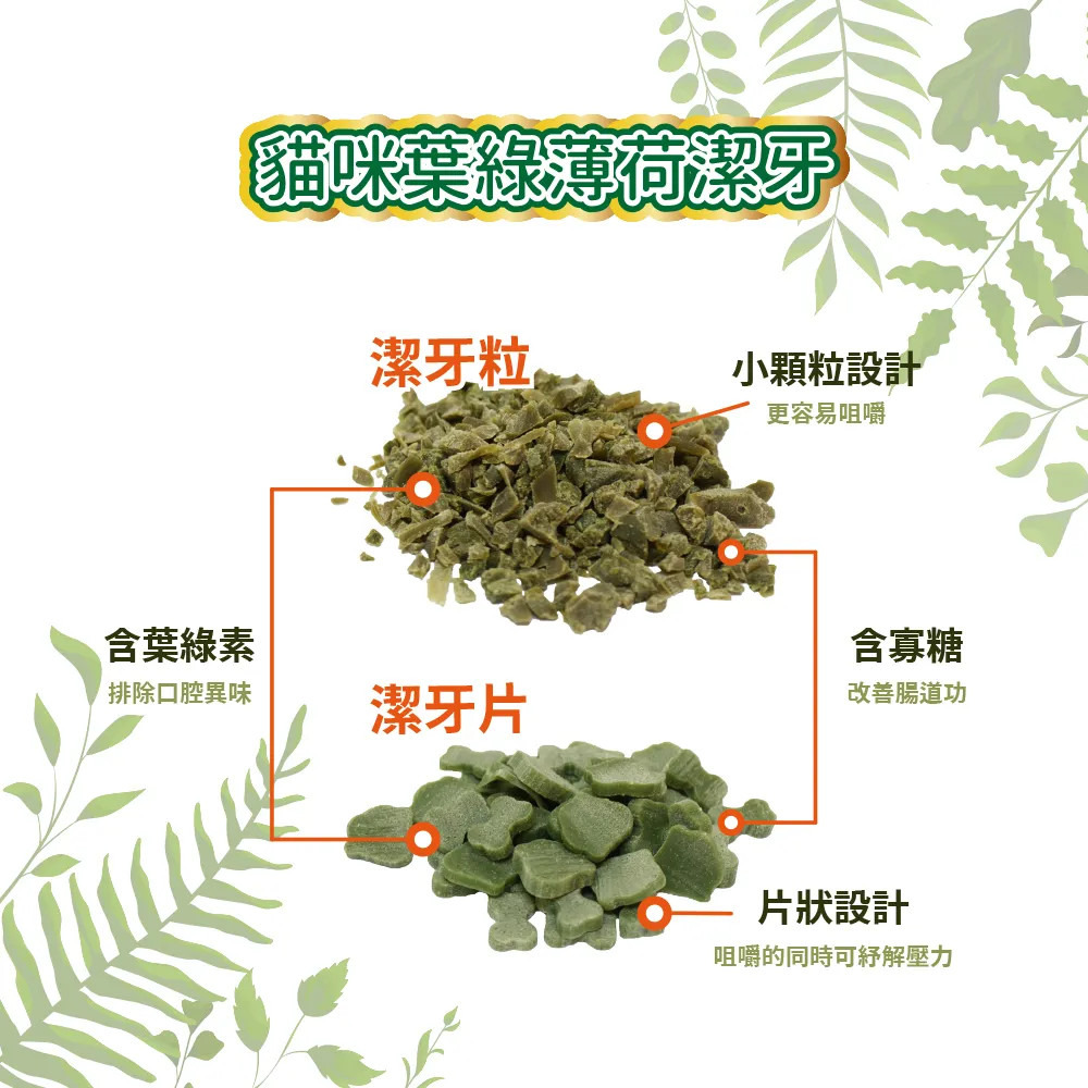 【福爾摩沙寵物精品】Pet Village 魔法村 貓咪葉綠薄荷潔牙粒/片｜50g-細節圖2