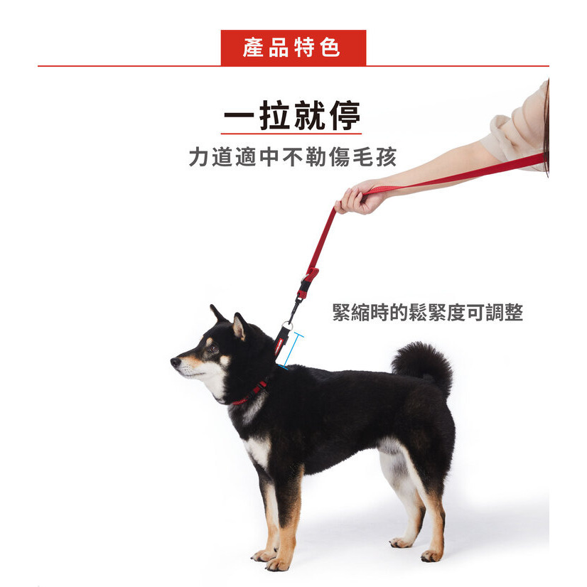 【福爾摩沙寵物精品】澳洲EZYDOG 訓練項圈 狗項圈-細節圖2