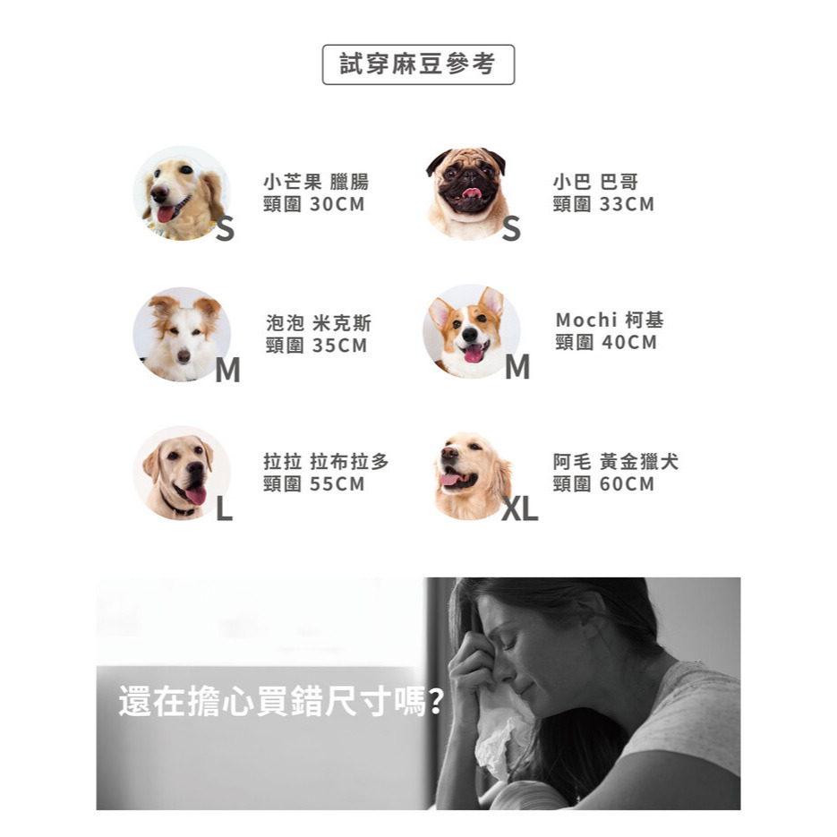 【福爾摩沙寵物精品】澳洲EZYDOG 訓練項圈 狗項圈-細節圖8