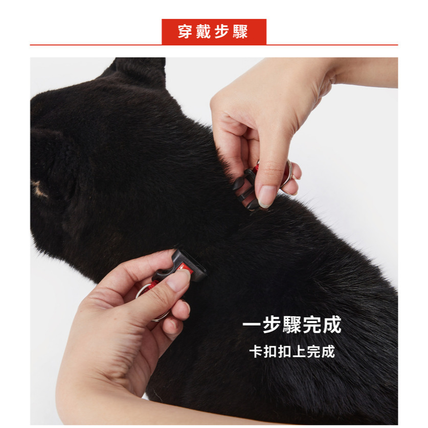 【福爾摩沙寵物精品】澳洲EZYDOG 訓練項圈 狗項圈-細節圖10