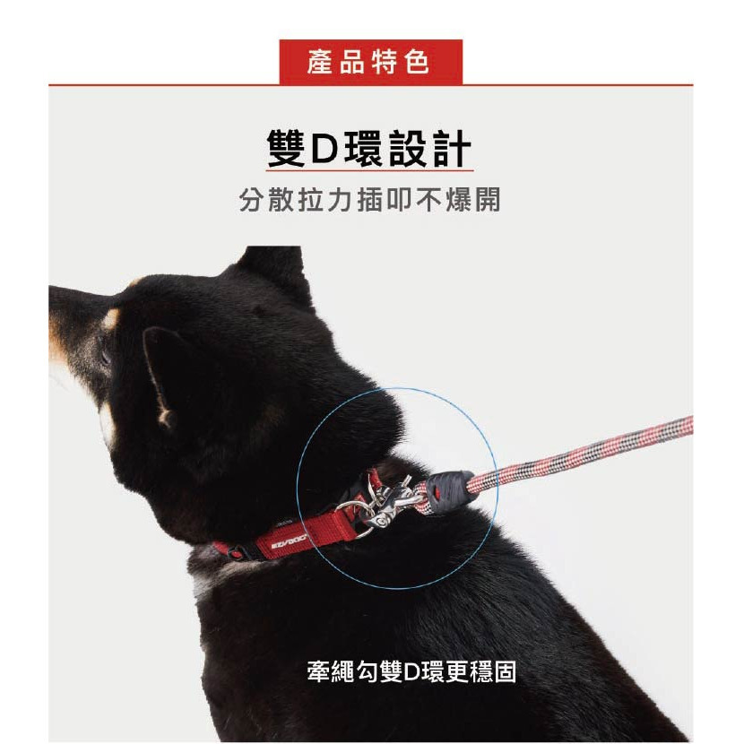 【福爾摩沙寵物精品】澳洲EZYDOG 雙環項圈 狗項圈 犬項圈-細節圖2