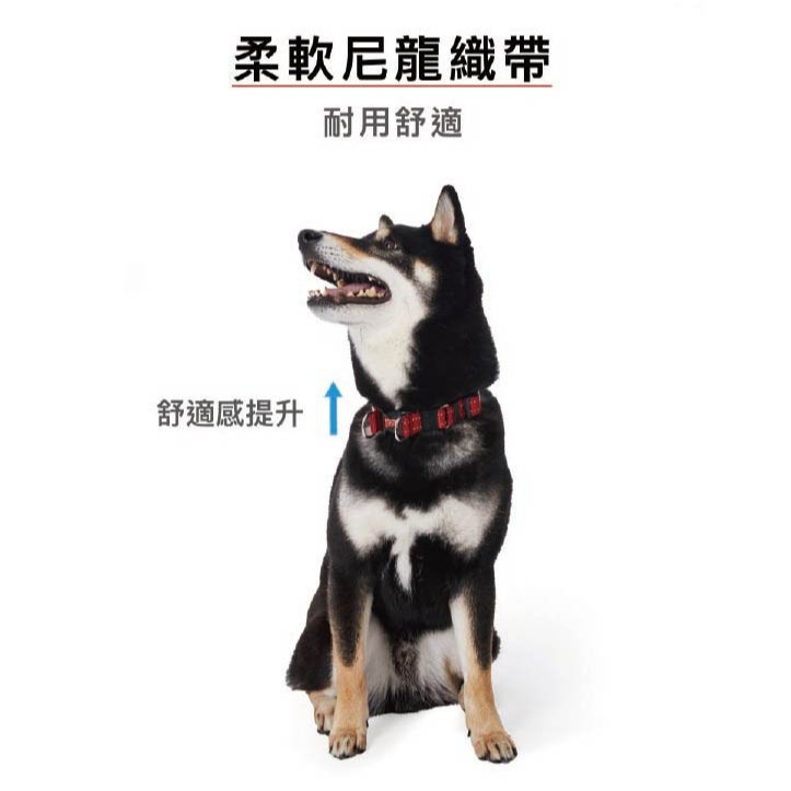 【福爾摩沙寵物精品】澳洲EZYDOG 雙環項圈 狗項圈 犬項圈-細節圖3