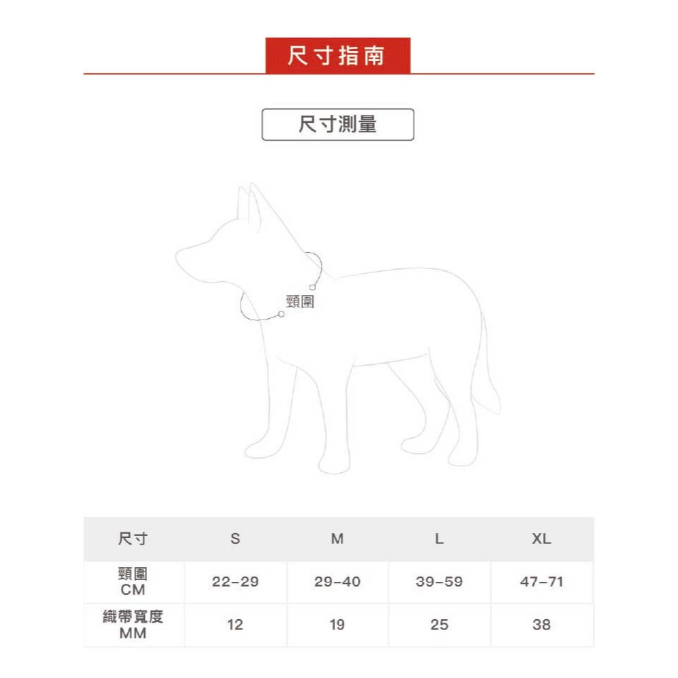 【福爾摩沙寵物精品】澳洲EZYDOG 雙環項圈 狗項圈 犬項圈-細節圖7