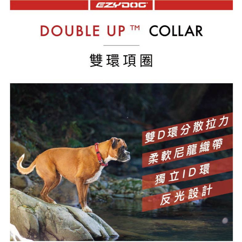 【福爾摩沙寵物精品】澳洲EZYDOG 雙環項圈 狗項圈 犬項圈-細節圖9