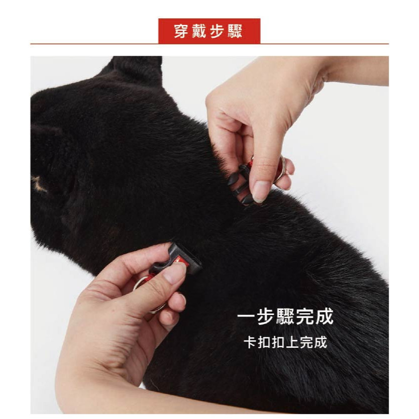 【福爾摩沙寵物精品】澳洲EZYDOG 雙環項圈 狗項圈 犬項圈-細節圖10