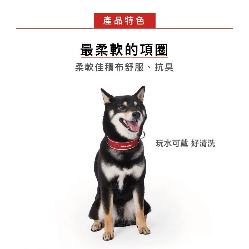 【福爾摩沙寵物精品】澳洲EZYDOG 尼歐項圈 狗項圈 犬項圈-細節圖2