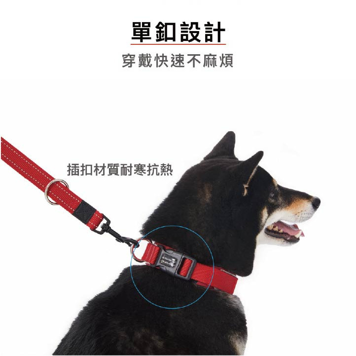 【福爾摩沙寵物精品】澳洲EZYDOG 尼歐項圈 狗項圈 犬項圈-細節圖4