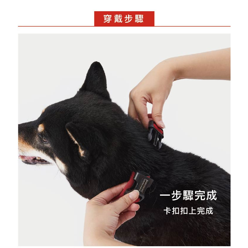 【福爾摩沙寵物精品】澳洲EZYDOG 尼歐項圈 狗項圈 犬項圈-細節圖10