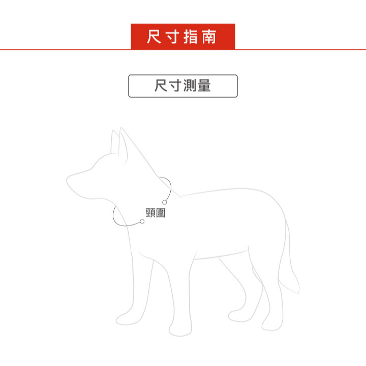 【福爾摩沙寵物精品】澳洲EZYDOG 牛津項圈 狗項圈 犬項圈-細節圖6