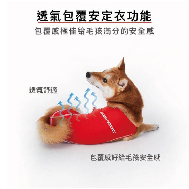 【福爾摩沙寵物精品】澳洲EZYDOG 寵物運動機能背心彈性佳 快乾 透氣 毛孩外出必備 狗狗衣服-細節圖4