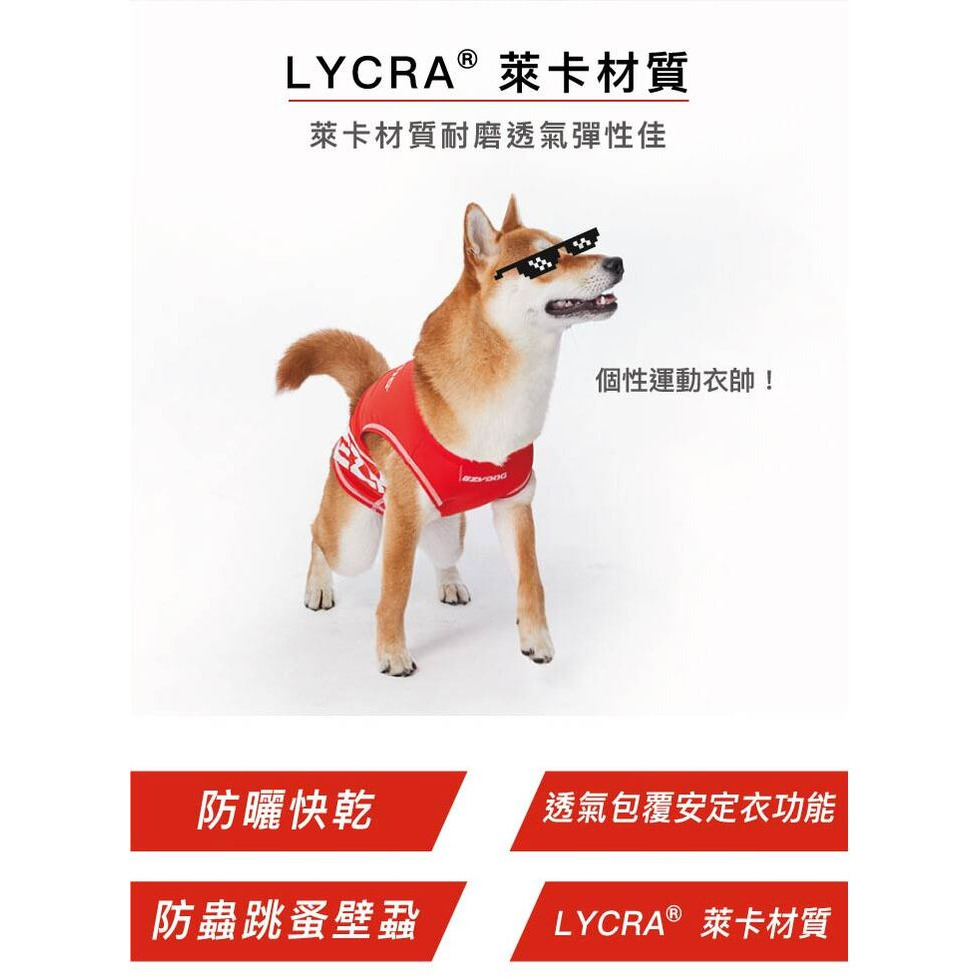 【福爾摩沙寵物精品】澳洲EZYDOG 寵物運動機能背心彈性佳 快乾 透氣 毛孩外出必備 狗狗衣服-細節圖6