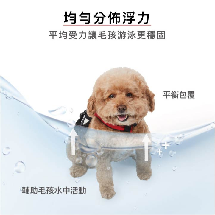 【福爾摩沙寵物精品】澳洲 EZYDOG 第一代迷你型浮水衣｜均勻分佈浮力｜可勾牽繩｜（七公斤以下專用）-細節圖3