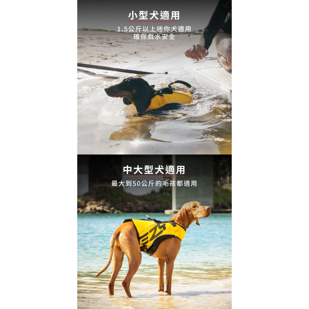 【福爾摩沙寵物精品】澳洲 EZYDOG X2 蛙人浮水衣 寵物浮水衣 護頸抬頭設計 高浮力 寵物浮水-細節圖11