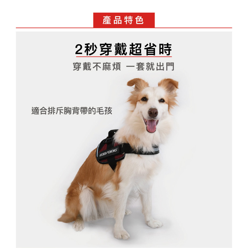 【福爾摩沙寵物精品】澳洲EZYDOG 終極胸背帶 貓胸背帶 狗胸背帶 防暴衝 ｜可掛馬鞍背包｜(專屬側貼須另外加購)-細節圖2