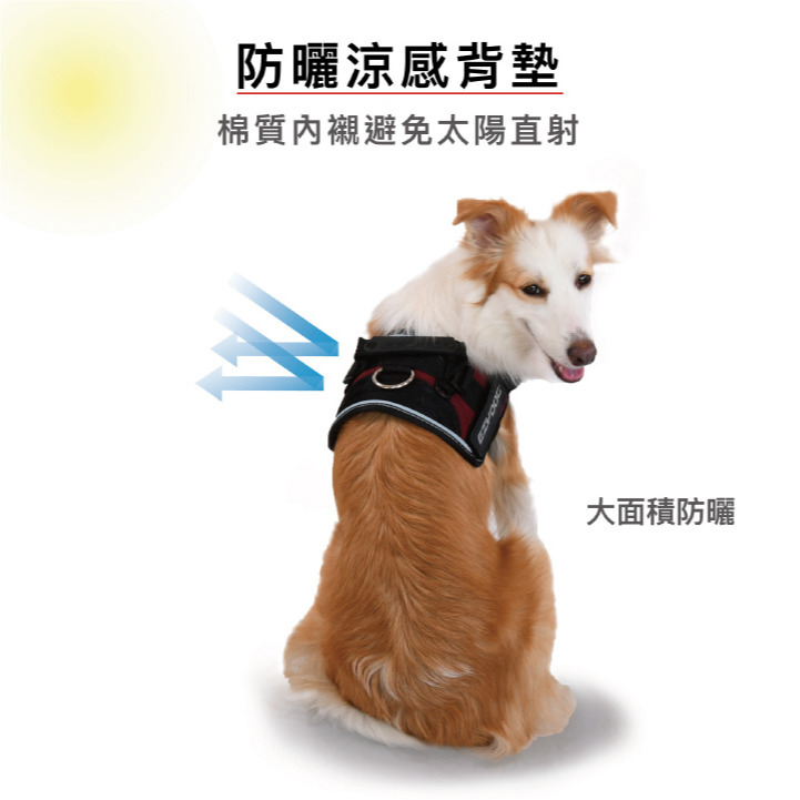 【福爾摩沙寵物精品】澳洲EZYDOG 終極胸背帶 貓胸背帶 狗胸背帶 防暴衝 ｜可掛馬鞍背包｜(專屬側貼須另外加購)-細節圖3