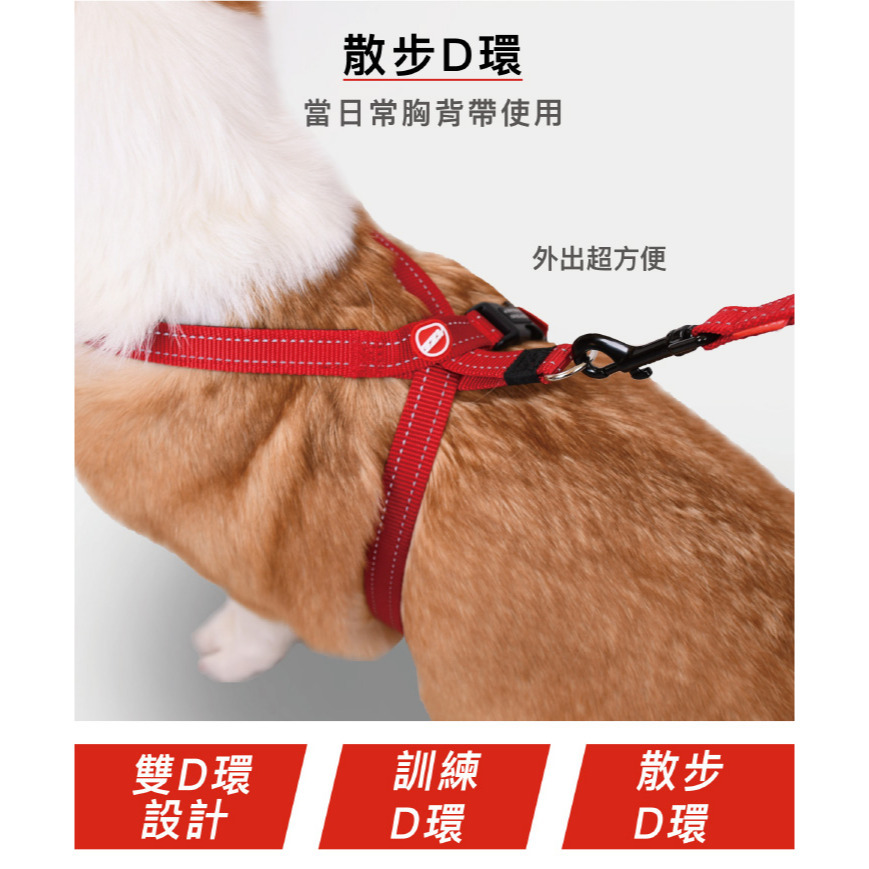 【福爾摩沙寵物精品】澳洲EZYDOG 八字訓練胸背帶 狗胸背帶 貓胸背帶 狗背帶 寵物背帶-細節圖2