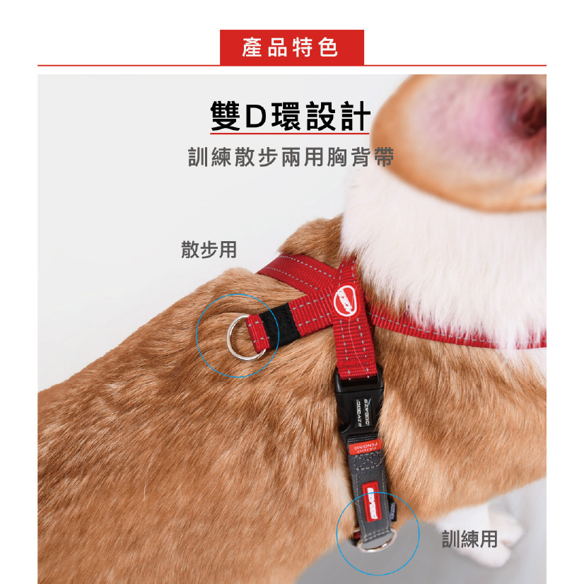 【福爾摩沙寵物精品】澳洲EZYDOG 八字訓練胸背帶 狗胸背帶 貓胸背帶 狗背帶 寵物背帶-細節圖3