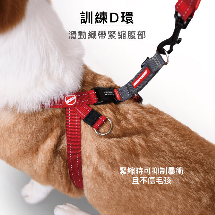 【福爾摩沙寵物精品】澳洲EZYDOG 八字訓練胸背帶 狗胸背帶 貓胸背帶 狗背帶 寵物背帶-細節圖4