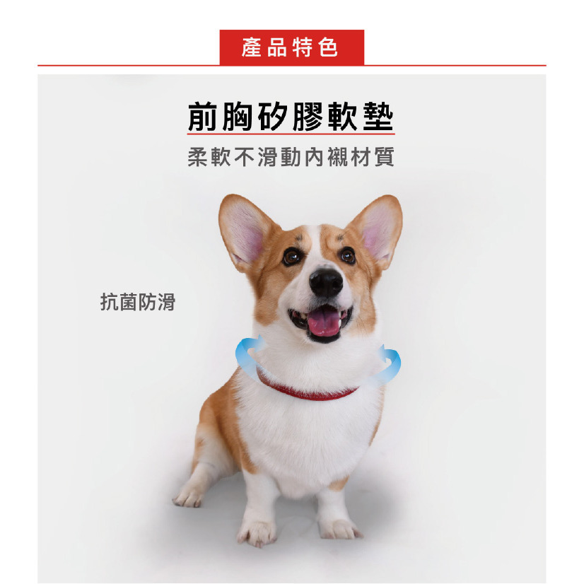 【福爾摩沙寵物精品】澳洲EZYDOG 八字訓練胸背帶 狗胸背帶 貓胸背帶 狗背帶 寵物背帶-細節圖5