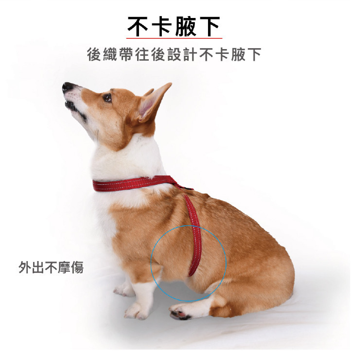 【福爾摩沙寵物精品】澳洲EZYDOG 八字訓練胸背帶 狗胸背帶 貓胸背帶 狗背帶 寵物背帶-細節圖6