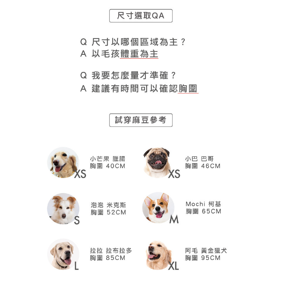 【福爾摩沙寵物精品】澳洲EZYDOG 八字訓練胸背帶 狗胸背帶 貓胸背帶 狗背帶 寵物背帶-細節圖9