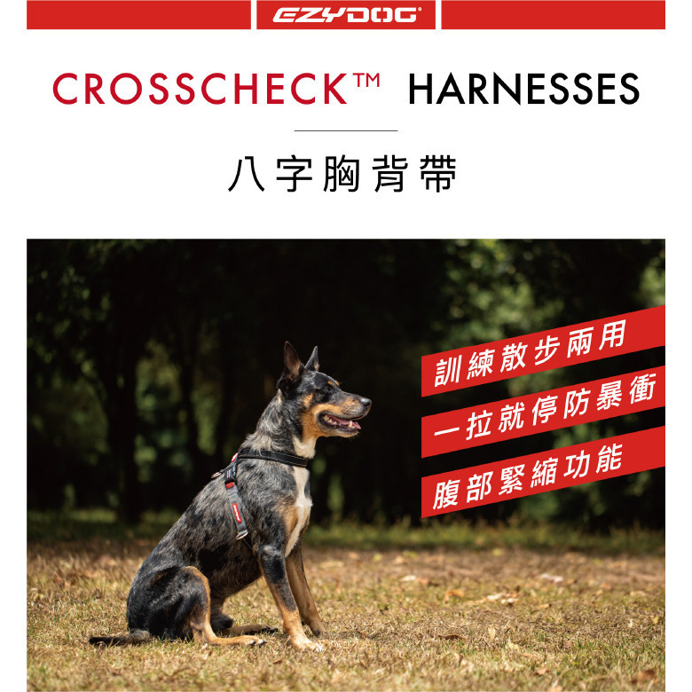 【福爾摩沙寵物精品】澳洲EZYDOG 八字訓練胸背帶 狗胸背帶 貓胸背帶 狗背帶 寵物背帶-細節圖10