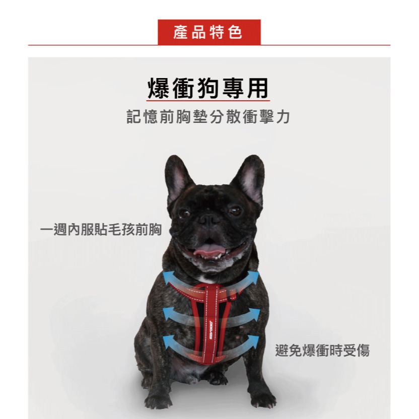 【福爾摩沙寵物精品】澳洲EZYDOG 狗體工學胸背帶《基本色系》『附送$300車用安全束綁帶』貓胸背 狗胸背帶 防暴衝-細節圖3