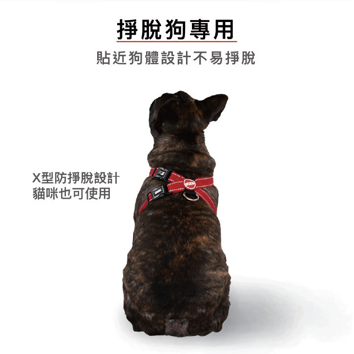 【福爾摩沙寵物精品】澳洲EZYDOG 狗體工學胸背帶《基本色系》『附送$300車用安全束綁帶』貓胸背 狗胸背帶 防暴衝-細節圖4