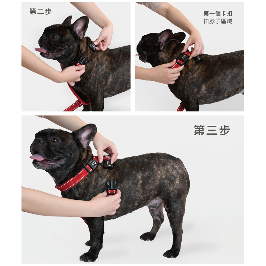 【福爾摩沙寵物精品】澳洲EZYDOG 狗體工學胸背帶《基本色系》『附送$300車用安全束綁帶』貓胸背 狗胸背帶 防暴衝-細節圖11