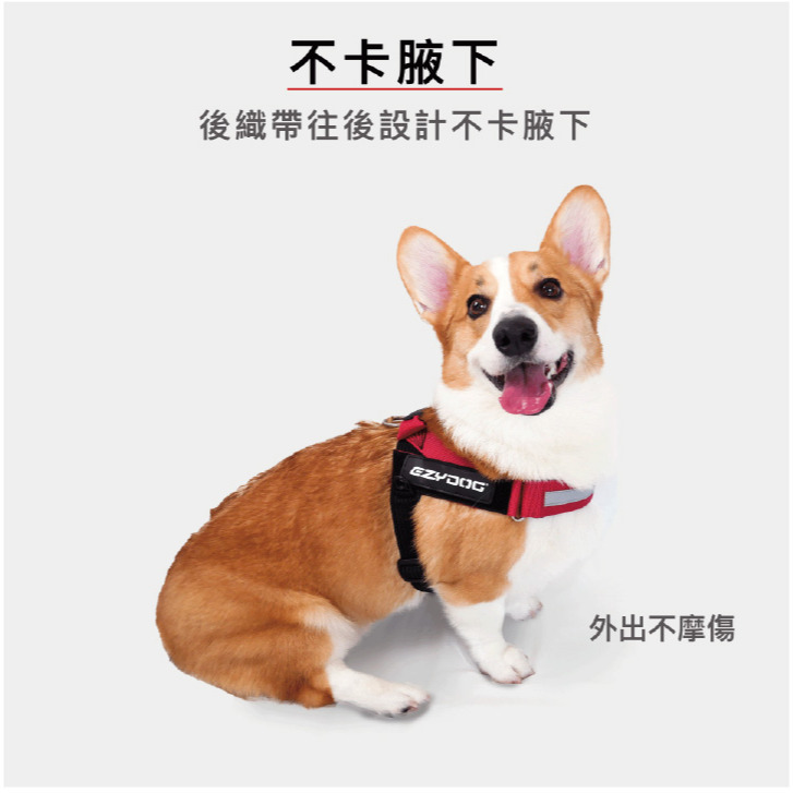 【福爾摩沙寵物精品】澳洲EZYDOG 秒穿胸背帶《基本色系》狗胸背帶 貓胸背帶 狗背帶 寵物背帶-細節圖4