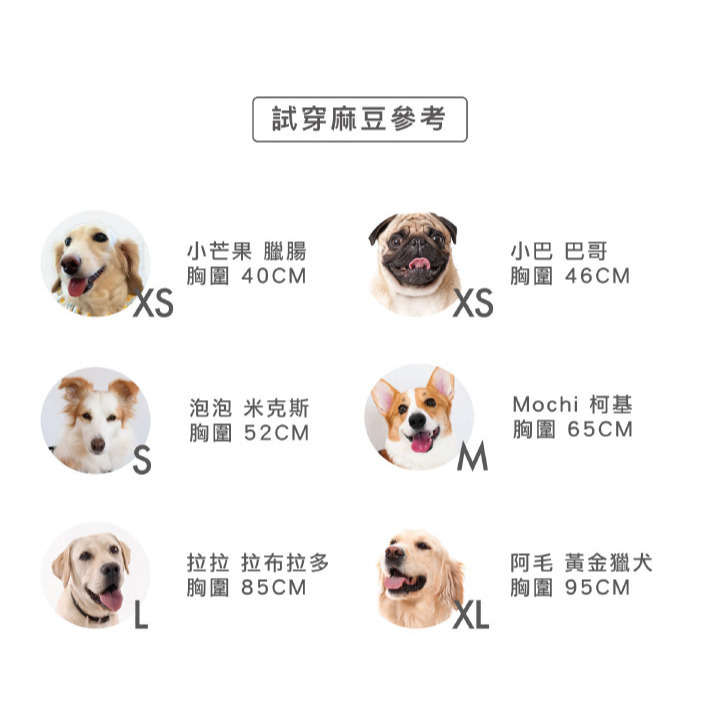 【福爾摩沙寵物精品】澳洲EZYDOG 秒穿胸背帶《基本色系》狗胸背帶 貓胸背帶 狗背帶 寵物背帶-細節圖7