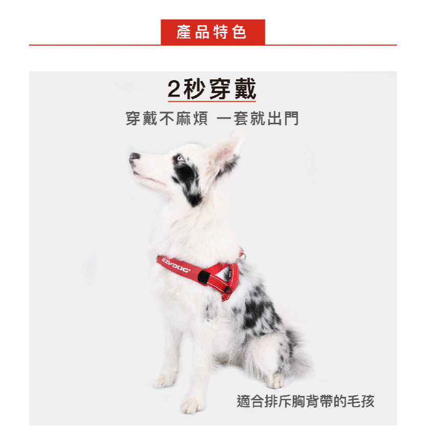 【福爾摩沙寵物精品】澳洲EzyDog 快套式胸背帶 《基本色系》狗胸背帶 貓胸背帶 狗背帶 寵物背帶-細節圖2