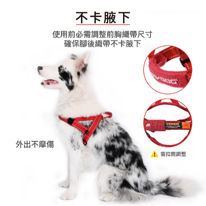 【福爾摩沙寵物精品】澳洲EzyDog 快套式胸背帶 《基本色系》狗胸背帶 貓胸背帶 狗背帶 寵物背帶-細節圖3