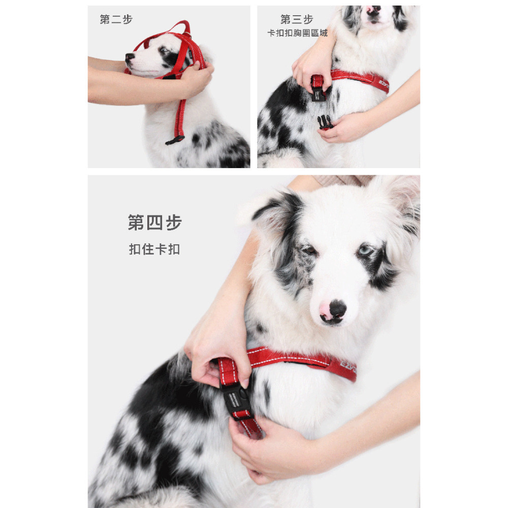 【福爾摩沙寵物精品】澳洲EzyDog 快套式胸背帶 《基本色系》狗胸背帶 貓胸背帶 狗背帶 寵物背帶-細節圖11