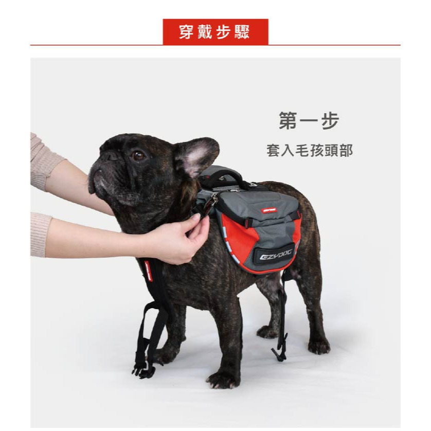 【福爾摩沙寵物精品】澳洲EZYDOG 頂峰背包｜防水儲物包包｜(專屬側貼須另外加購)-細節圖7