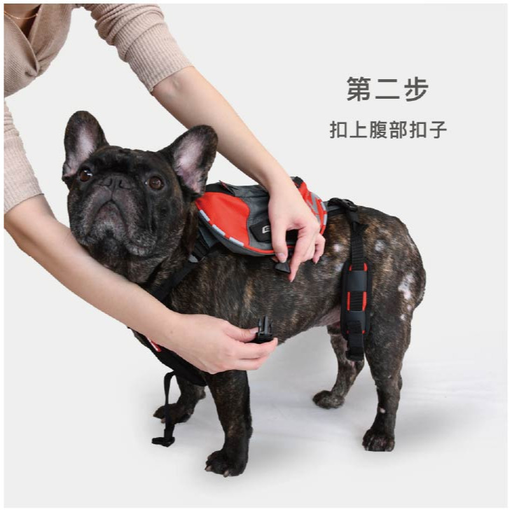 【福爾摩沙寵物精品】澳洲EZYDOG 頂峰背包｜防水儲物包包｜(專屬側貼須另外加購)-細節圖8