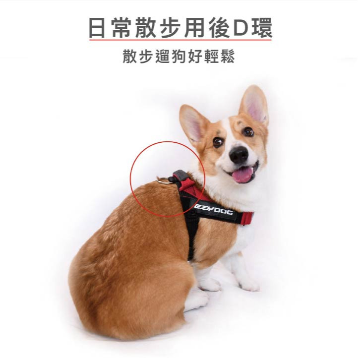 【福爾摩沙寵物精品】澳洲EZYDOG 前胸D環配件 ｜不易生鏽氧化｜(秒穿/終極胸背帶專用)-細節圖5