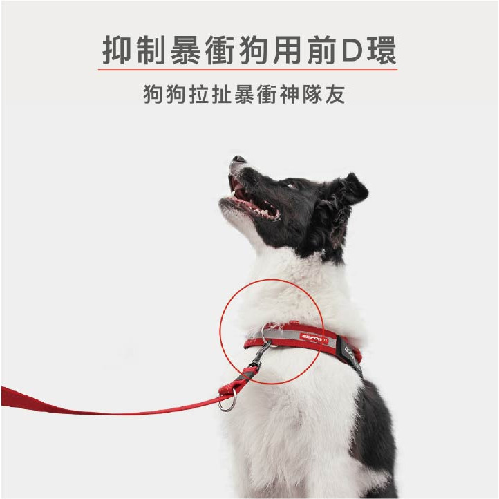 【福爾摩沙寵物精品】澳洲EZYDOG 前胸D環配件 ｜不易生鏽氧化｜(秒穿/終極胸背帶專用)-細節圖6